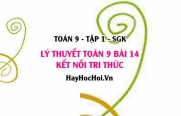 Lý thuyết Toán 9 Bài 14: Cung và Dây Của Một Đường Tròn (Kết Nối Tri Thức)
